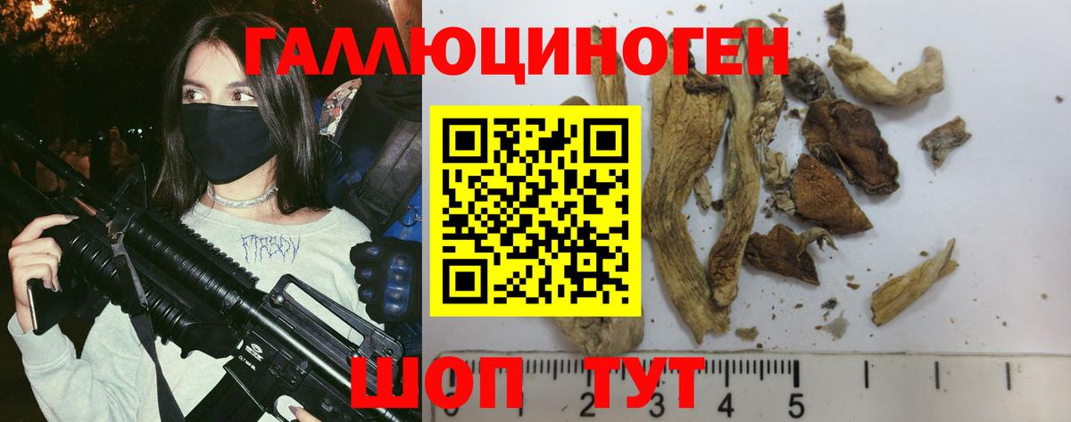 Псилоцибиновые грибы прущие грибы Луховицы